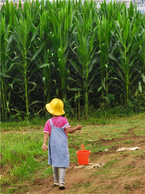 孩子們的背影。劉雪韜周末經常和愛人一同陪伴孩子去他們喜歡的地方騎車、玩耍。對他們來說，相聚的時光遠比一些熱鬧的應酬重要。