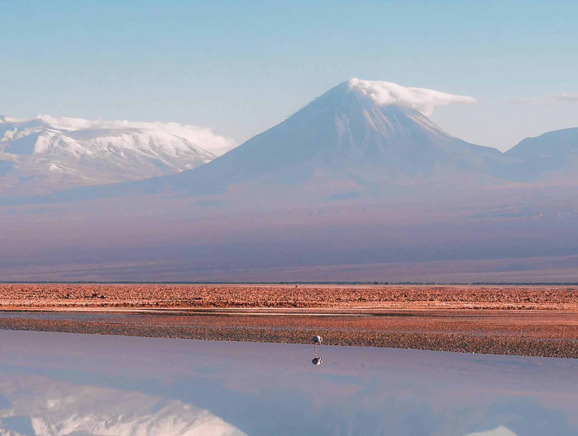 回眸2024：翻閱長(zhǎng)篇小說(shuō)的三種方式