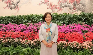 全國政協委員、網絡文學作家蔣勝男