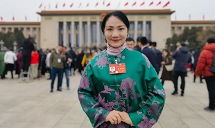 全國政協委員、山西藝術職業學院黨委委員、副院長苗潔