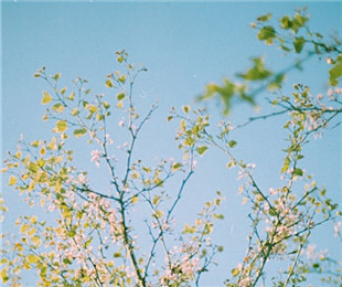 談文創設計中的情感導向:傳遞文化情感和情緒價值