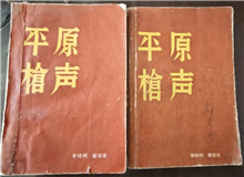 從未遠(yuǎn)去的“平原槍聲”　　合上《平原槍聲》最后一頁，初聽現(xiàn)實(shí)中肖張鎮(zhèn)這個(gè)地名，心頭不禁一震：莫不是小說中的肖家鎮(zhèn)？[詳細(xì)]