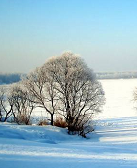 李達偉：歸于沉寂
